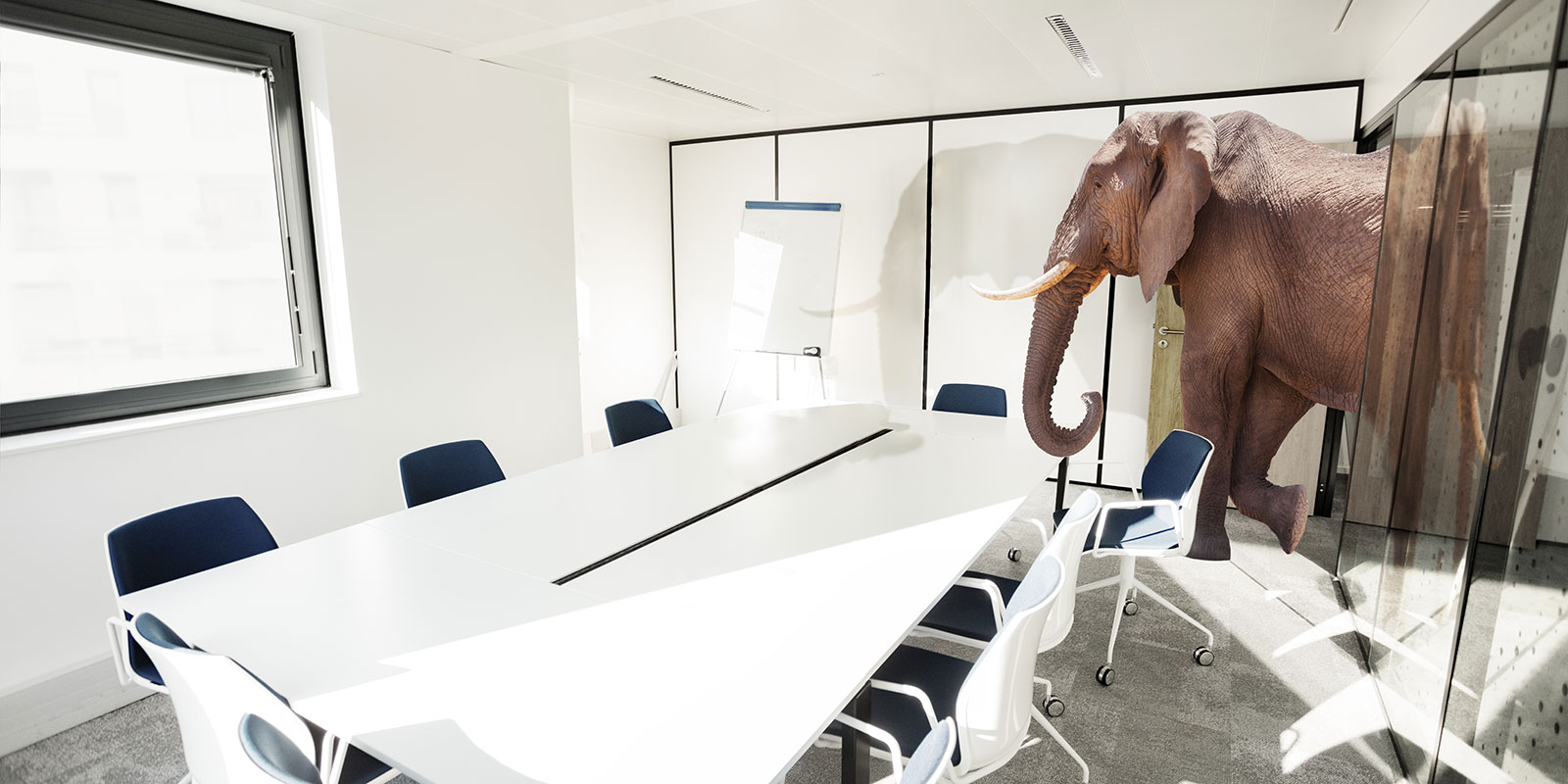 Empathy Isn’t Optional: The Key to Authentic Leadership